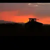 Becky Thiessen - @beckythiessen646 - TikTok