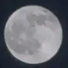 beckythorp663 - @beckythorp663 - TikTok