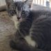 Becky Thrower - Facebook