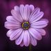 Becky Timms - Facebook
