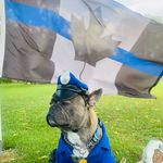 Officer Burger 🍔 (Becky and Tims fur Baby) - @officerburger1 - Instagram
