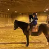 becky Tingley - @beckytingley2 - TikTok
