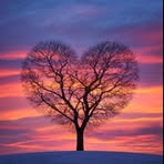 Becky Toler - Facebook