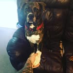 Becky Toler - @bindaeleenasl - Instagram