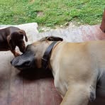 Becky Travis - Facebook