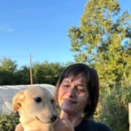 Becky Travis - Facebook