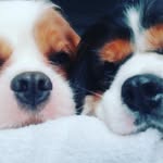 Travis & Becky - @travis.and.becky - Instagram