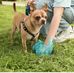 Becky Tupper - Facebook