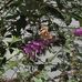 Becky Tyndall - Facebook