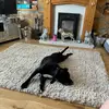 Becky tyrrell - @ruby.tyrrell84 - TikTok