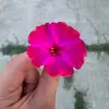 Becky - @becky24243 - TikTok