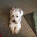 Becky Upton - Facebook