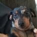 Becky Utter - Facebook
