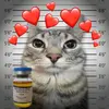 ben_vanwinkle45 - @benvanwinkle45 - TikTok