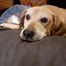 Becky Varner - Facebook