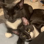 Becky Varner - @beetlebug11 - Instagram