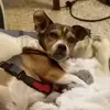 Becky Vickers - @bvick24 - TikTok