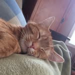 Becky_wp - @beckywagnerpizza - Instagram