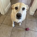 Becky Wood - Facebook