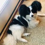 Becky Wardlow Horn - @beckywardlowhorn - Instagram