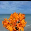 beckyweeks48 - @beckyweeks48 - TikTok