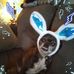 Becky Weems - Facebook