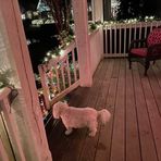Becky Weems McGowan - Facebook