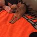 Becki Weidner - Facebook