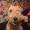 Becky Weston - @beckyweston7 - TikTok