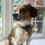 Becky Witte - @rebecca_cheryl - Instagram