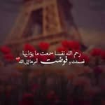 Bedor Mohamed - @bedor_mohammad - Instagram