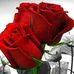 Bedor Mohamed - Facebook