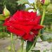 Bedri Kaya - Facebook