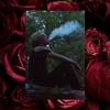 Bee Adams - @several_onions_ - TikTok