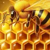 BeeBaileyYT - @beebaileyyt - TikTok