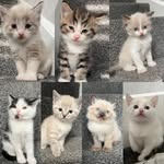Bee Bee Baldwin - @bee_baldwin - Instagram