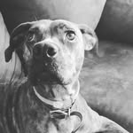 Honey Bee Bates - @thehoneybee2012 - Instagram