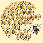 Bee Bold Thrifts - @beeboldthrifts - Instagram