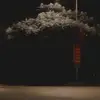 Bee Búi - @beebuis - TikTok
