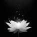 Bee Bụi - Facebook