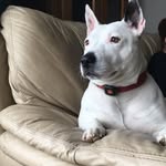 Bèé Chambers - @bees_world_photography - Instagram