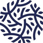 Beechenlea - @beechenlea_ltd - Instagram