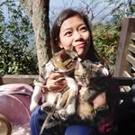 Nimo Chen - @bee_beechen - Instagram