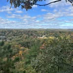 Bee Collins - Facebook