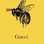 Save the Bees🐝 - @bee.dealing - Instagram