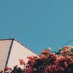 @beeding_moco - Instagram