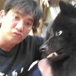 Bee Fang Toh - @beefangtoh - Instagram