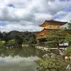 deebeegriffith - @deebeegriffith - TikTok