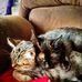 Bee Holt - Facebook
