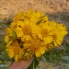 beehoo249 - @beehoo249 - TikTok